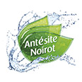 logo Antésite