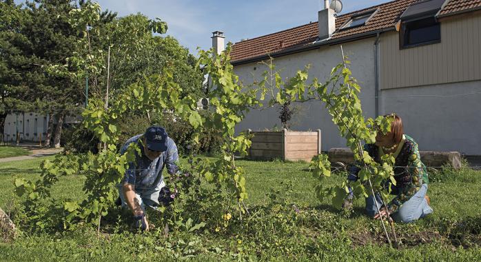 Les jardins partagés, une initiative collective qui a bien pris racine à Grenoble © A. Fischer - Ville de Grenoble