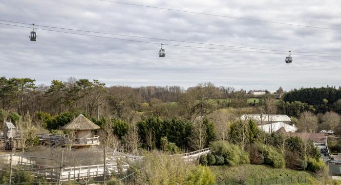 le Nuage de Beauval