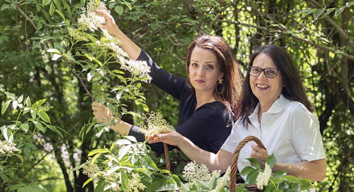 © Plante & Beauté Bio