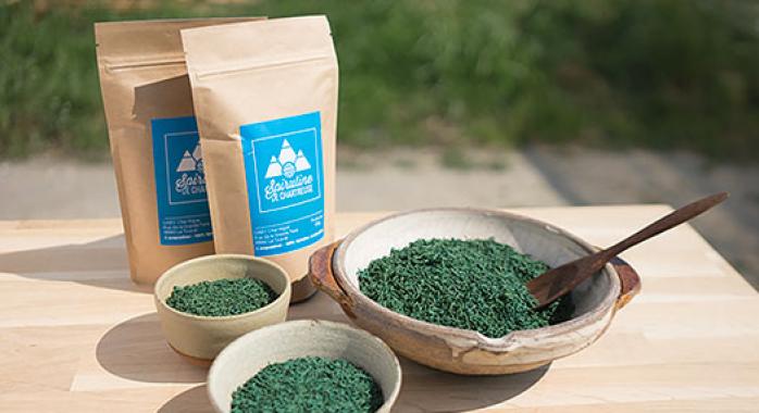 © La Spiruline de Chartreuse