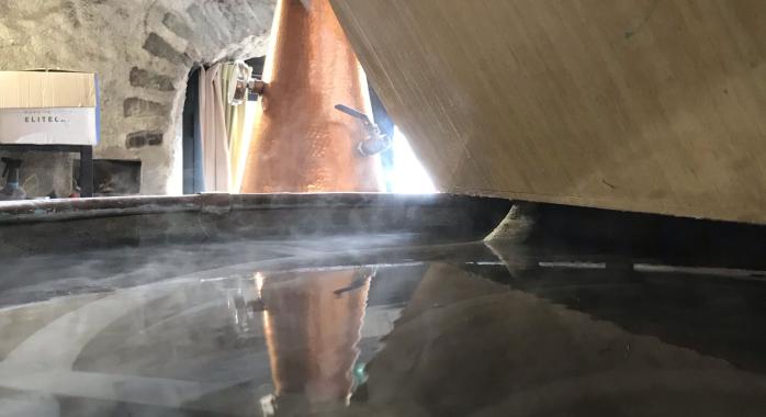 © Distillerie Terre Froide