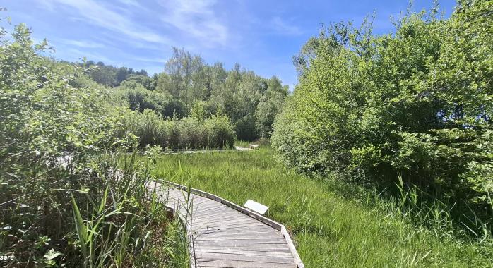 Le Ponton de la Tourbière du Grand-Lemps, à Châbons 