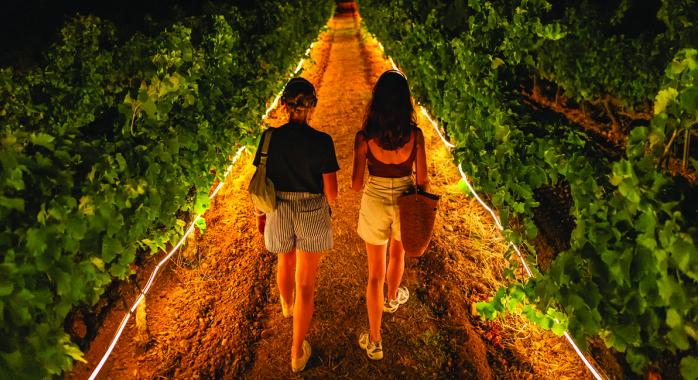 Entre Vignes et Lumières dans la Drôme. © J. Habourdin