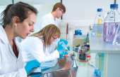 © Synthelis Biotech