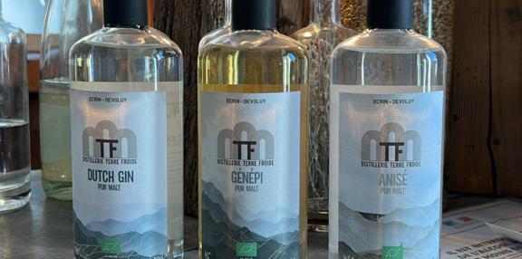 Les Génépi Gin et Anisé artisanaux et bio de la Distillerie Terre Froide
