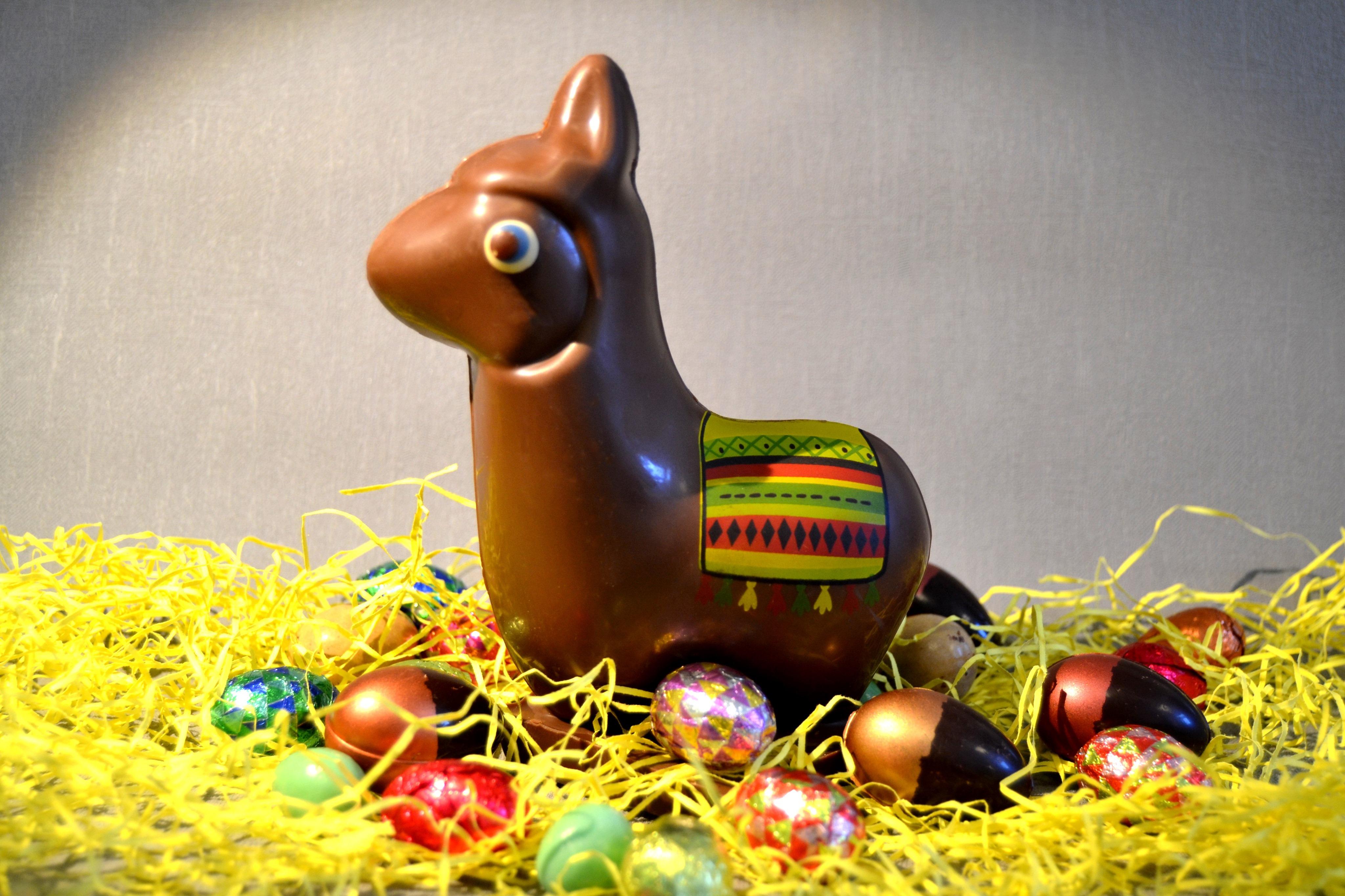 Le lama en chocolat signé Anne-Lise Signouret