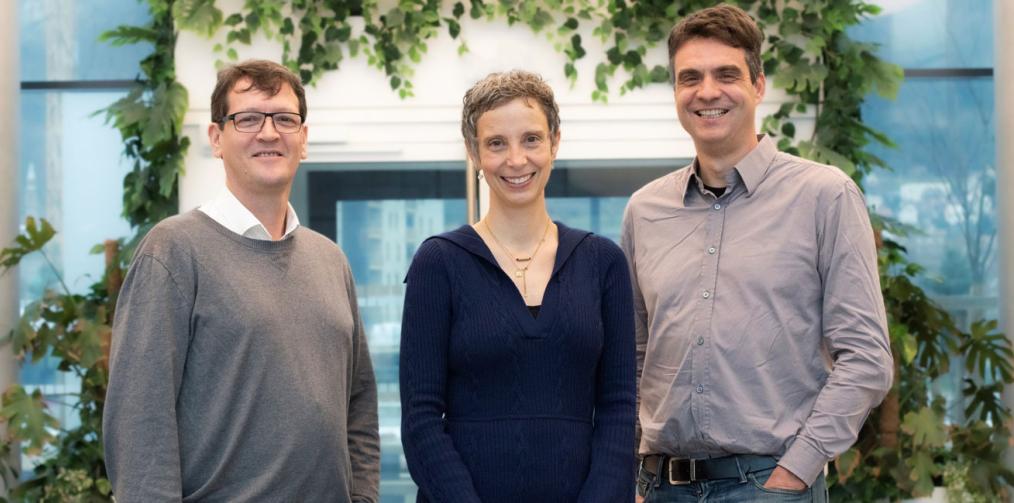Article Start-up