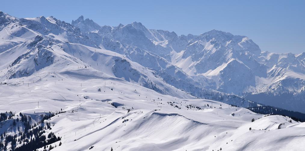 Article Ils font l'actu