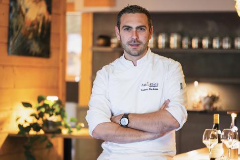 Asterales : Gastéronomique 