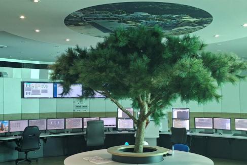 Plateforme chimique : Vega Energies reprend le flambeau de Solvay