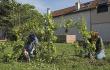 Les jardins partagés, une initiative collective qui a bien pris racine à Grenoble © A. Fischer - Ville de Grenoble