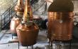 © Distillerie Terre Froide